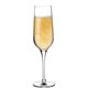 Refine champagneglas 200 ml (6 stuks)