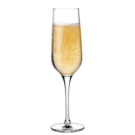 Refine champagneglas 200 ml (6 stuks)